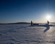 Arctic360