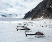arctic defence