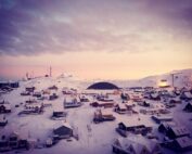 arctic