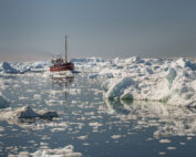Arctic Security