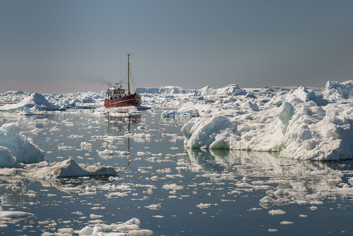 Arctic Security